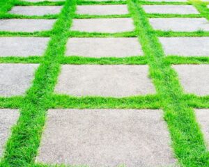 A grassy walkway made of concrete slabs.