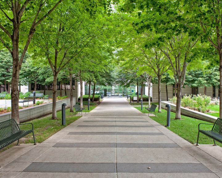 A concrete walkway lined with benches and trees in the city park.