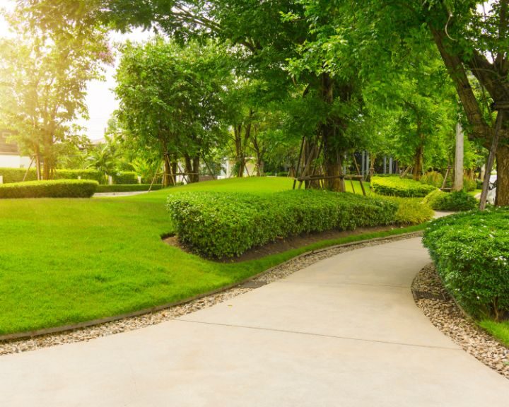 A city sidewalks through a lush green park.