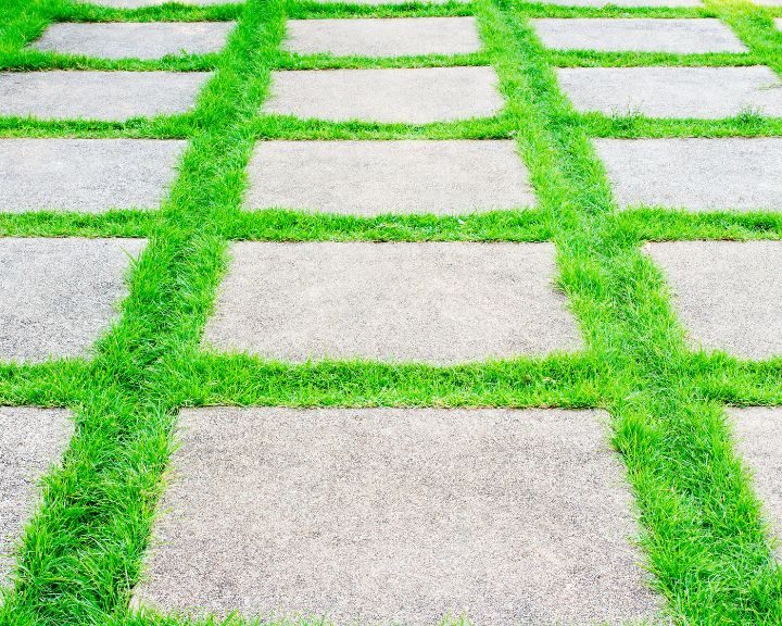 A grassy walkway made of concrete slabs.