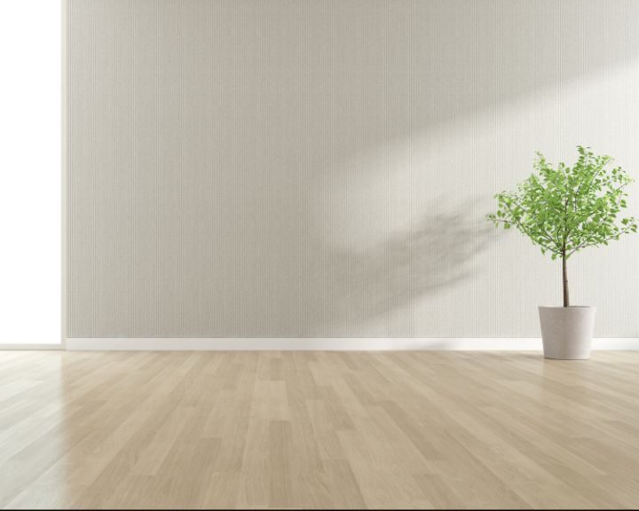 A city room with a plant pot on the concrete wall.