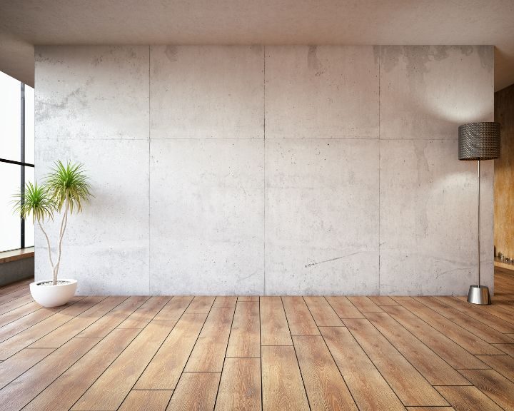 An empty room with concrete walls and a potted plant in the corner.